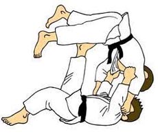  judo 